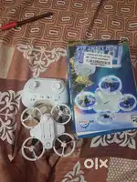 Drone 10days old