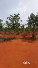 Agriculture Land for sale in ananthapur