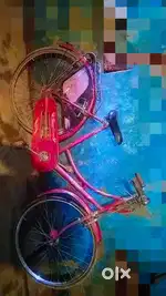 Rituparna bicycle