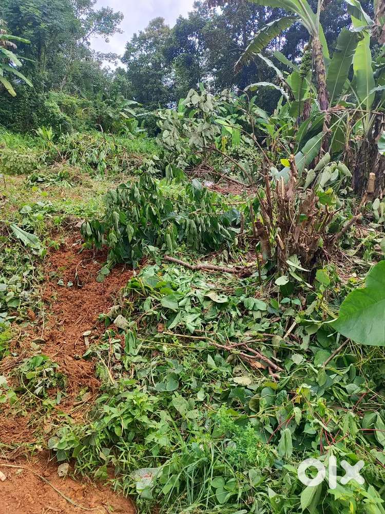 10 സെന്റ്‌ സ്ഥലം