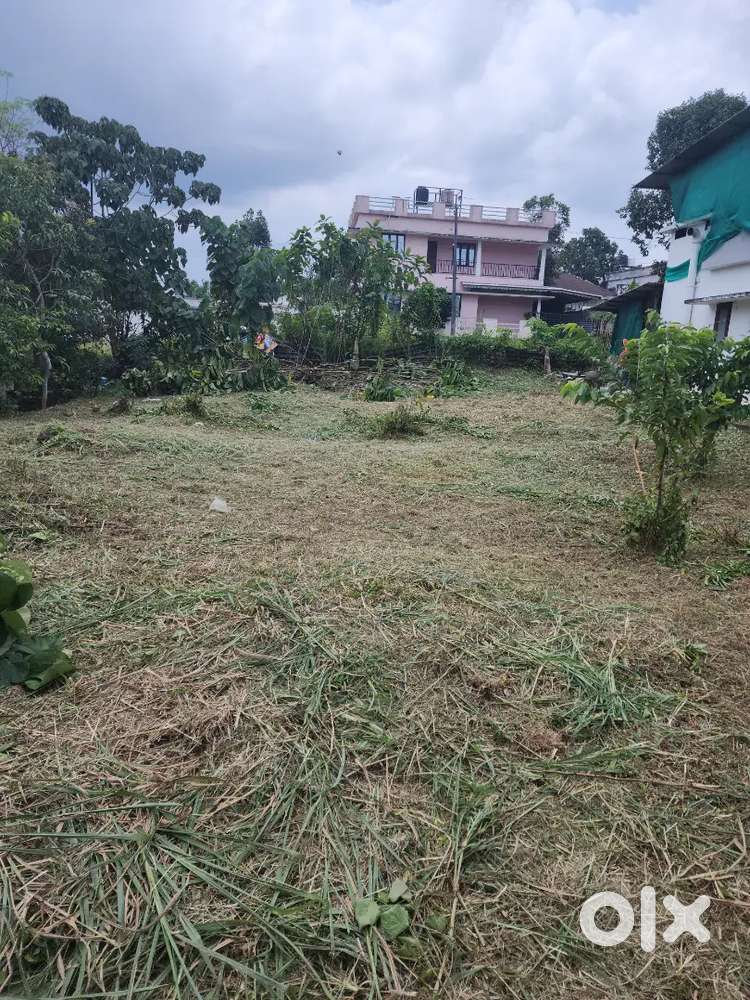 7.5 Cent House plot for sale pathanapuram