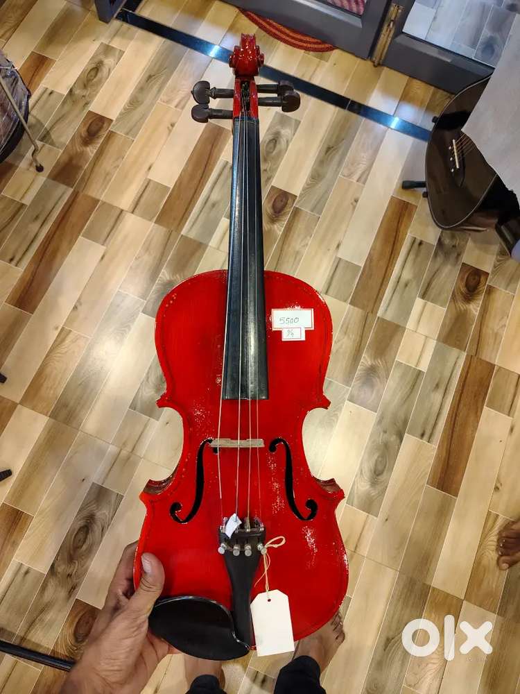 Violin new