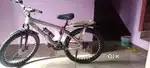 Brand new cycle 20 day old