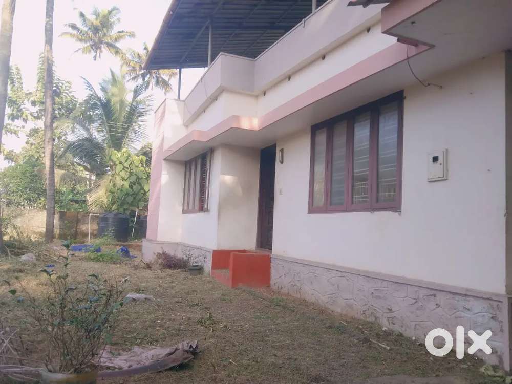 3 BHK OLD HOUSE INFOPARK 500 MEETER , BACHLERS,AND OFFICE PURPOSE