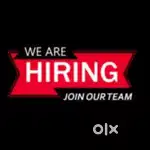 OFFLINE WRITING JOB'S