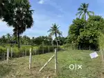 5.6 cent Residential plot for urgent sale