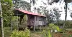 3.75 acre agricultural land suitable for farm & plantation at Thumbur
