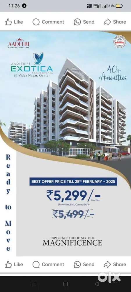 Real estate framlans  vancany available