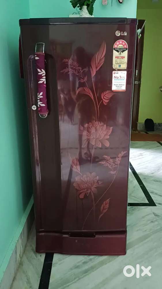 LG refrigerator 190 litter with 5 star energy efficient