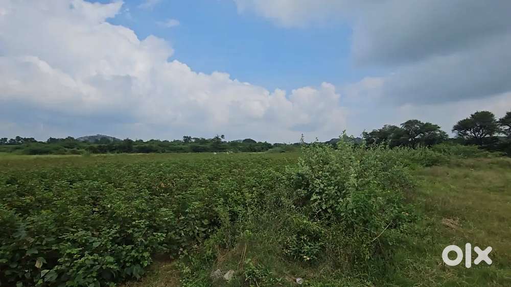 Urgent Sale – 1 Acre Agricultural Land in Chinthapatla (Future City)
