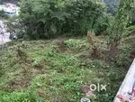 Mawlai mawiong umjapumg