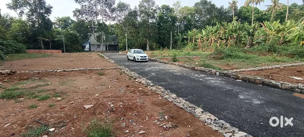 അങ്കമാലിയിൽ കുറഞ്ഞ വിലയിൽ എല്ലാ സൗകര്യങ്ങളും ഉള്ള ഭൂമി പുരയിടം