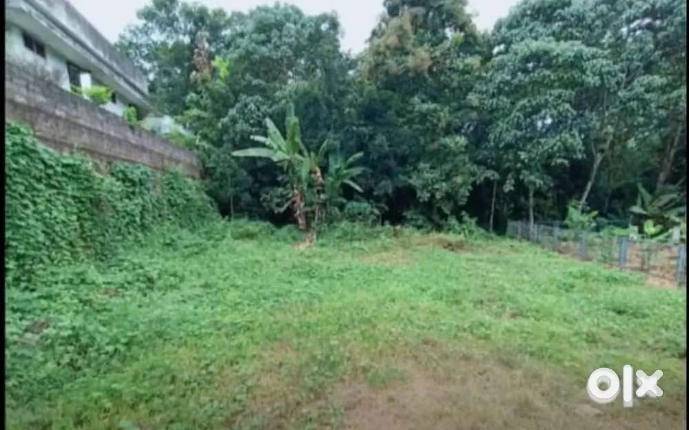 ഹൌസ് പ്ലോട്ട് വില്പനക്ക് PALA