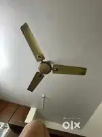 Ceiling Fan