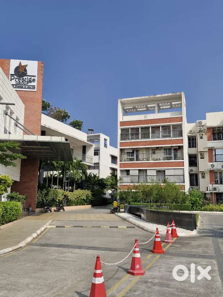 Luxury Flat for Rental Full Furnished