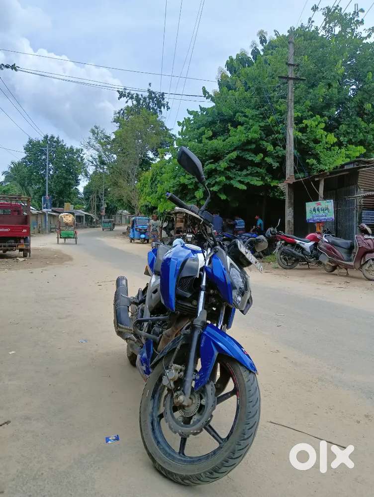 Fresh bike and good condition