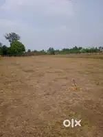 ON ROAD CHENGALPATU PLOTS