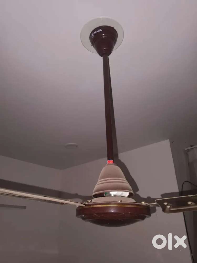 8 Fans of Marc brand