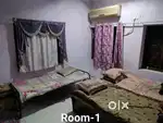 Roommate Required