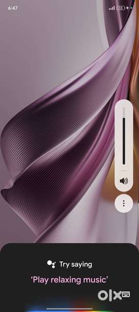 Oppo Reno 10 pro 5g