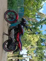 Palsar 150