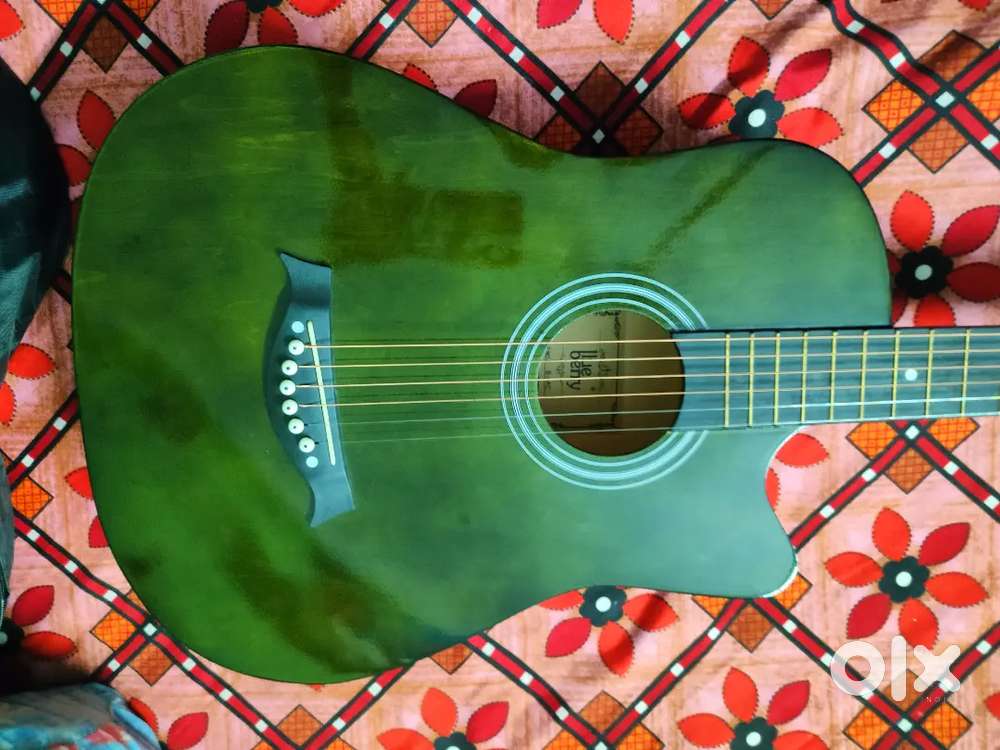 Blueberry acoustic guitar