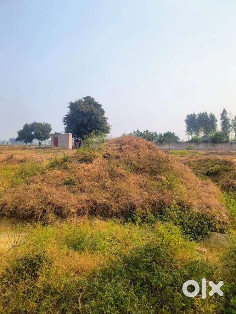 Virandhaban colony Hevatpura road sirsaganj