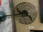 Fratta fan