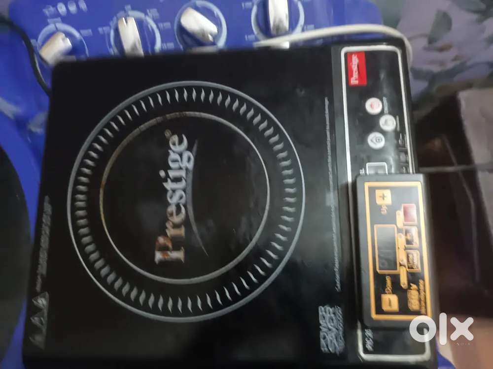 Prestige Induction 1 Year old