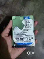 WD Hard drive 1TB (Western Digital)
