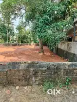 10.50 Cent Residencial Plot Sale Thrippunithura.