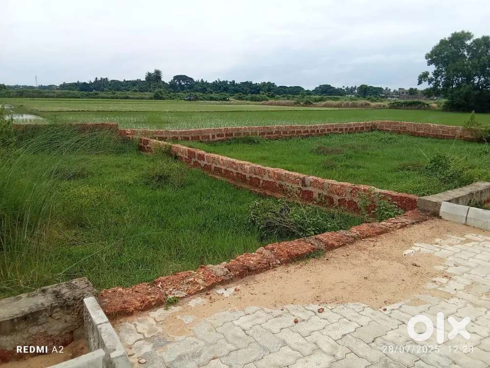 COLONY PLANNING PROJECT