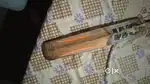 Cricket old