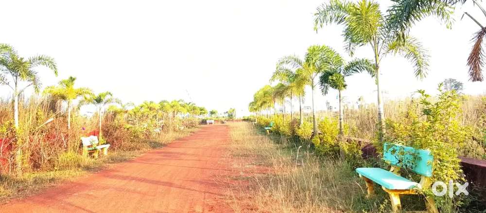 Plot for sale in Bhubaneswar patrapada AIIMS hospital back side