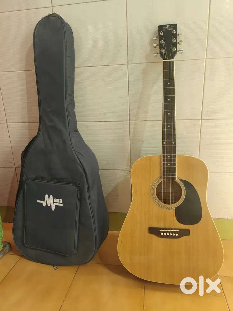 Guitar with cover