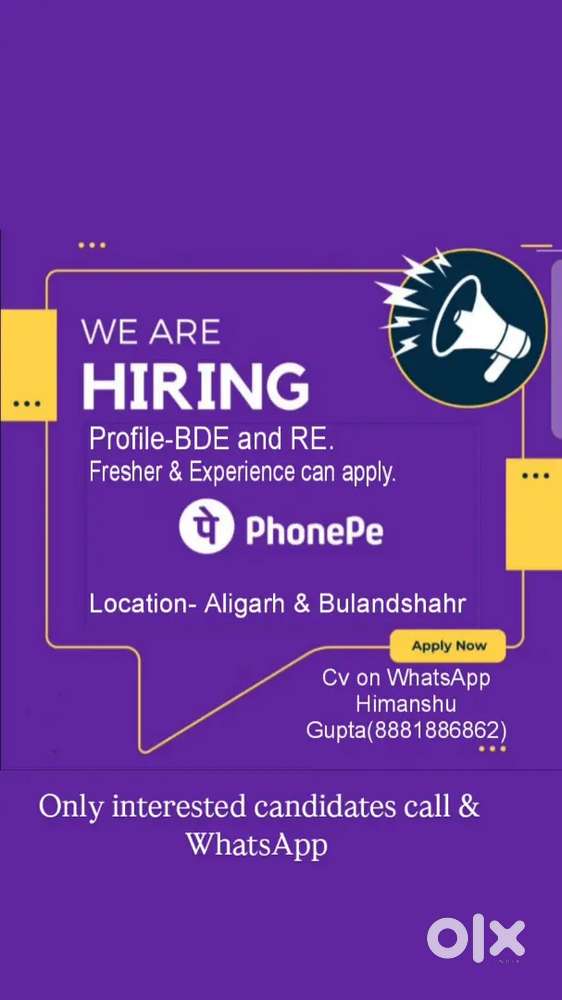 Business Development Executive