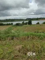 Agricultural Land For Sale