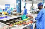 Company packaging , Supervisor, Ven delivery