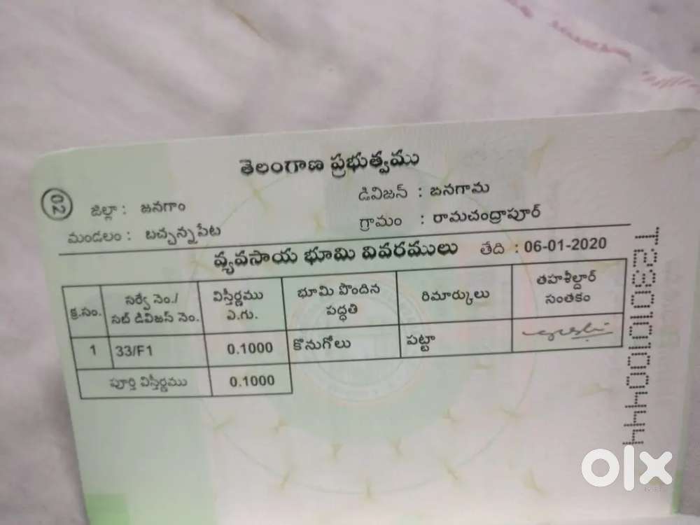 10 guntas (1210 Sq Yards) Agricultural land for sale bachannapet