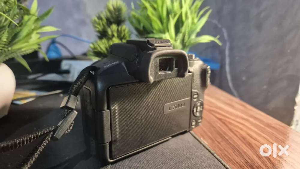 Canon R50 Mirrorless (Black) + Adapter + 18-135mm & 18-55mm Lens