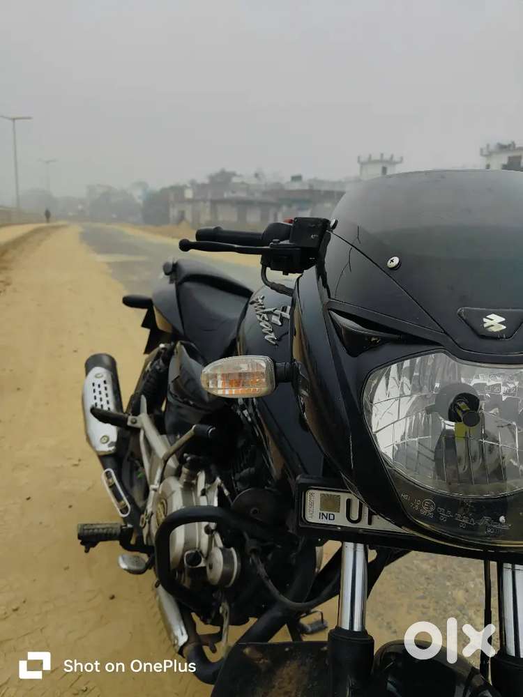 Pulsar - definately male (full dark black)