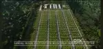 White sandal contract farming.  Best resort & farmhouses  in odisha .