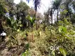 Wanted land at caservanem pedne Goa