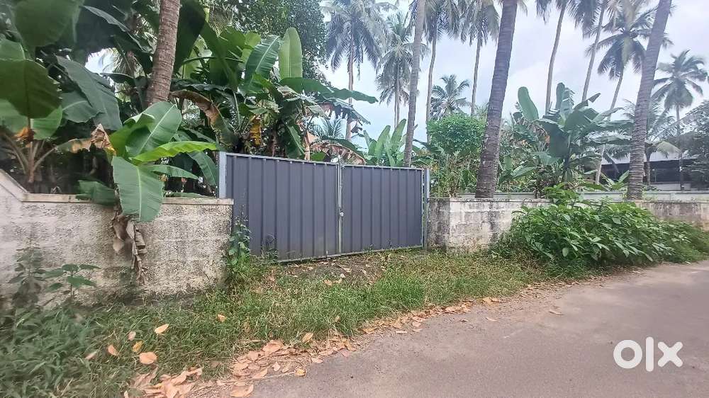 Near Pamboor - 6 cent plot with openwell