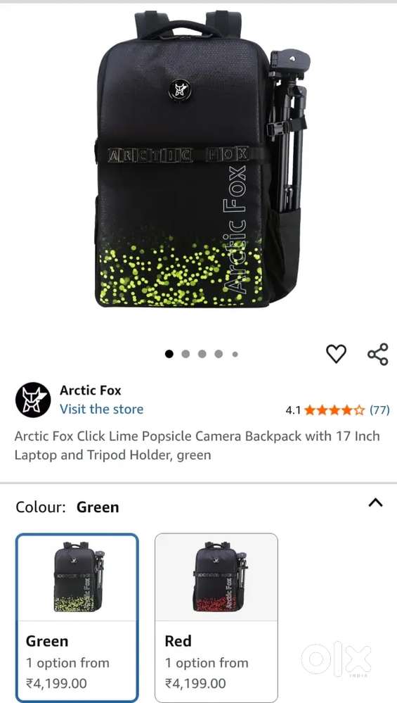 Camera bagpack