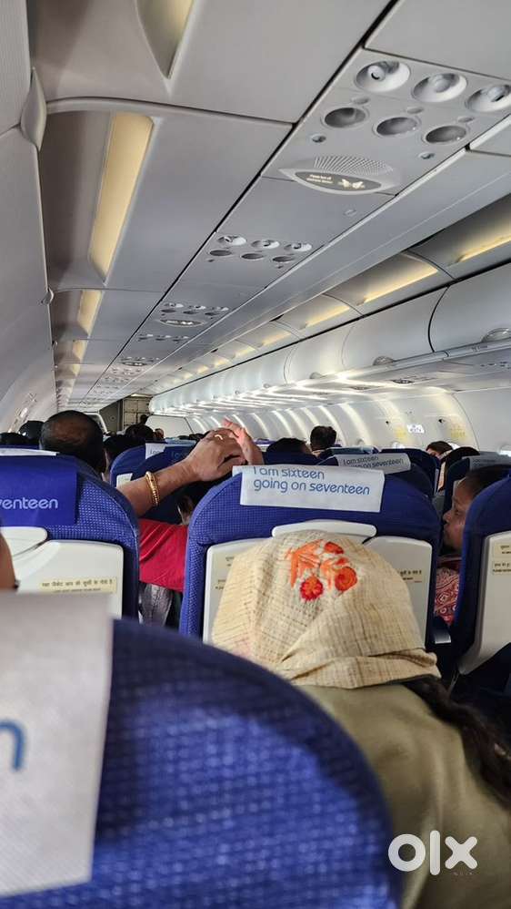 Urgent Requirement For Ground Staff Jobs In IndiGo Airlines