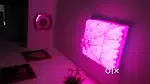 Royal zumar with music , MULTICOLORED led