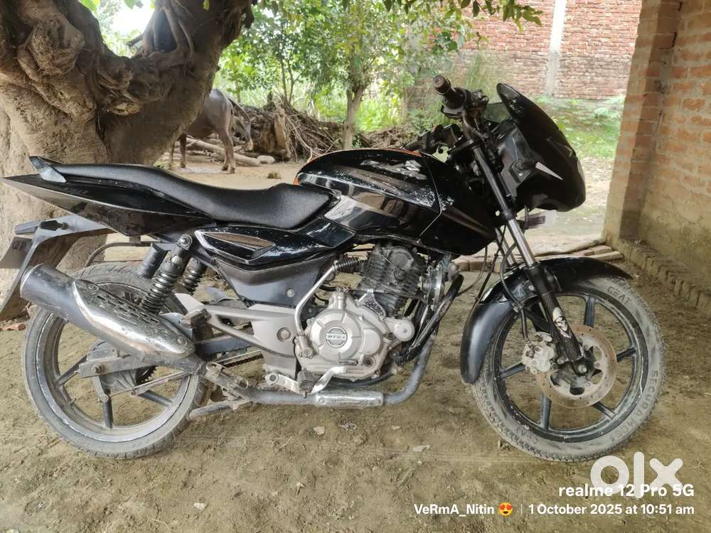 Pulsar 150 CC