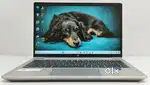 HP PROBOOK 440 G10