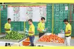 Hiring pickers and packers for  PUPPALAGUDA location at Hyderabad